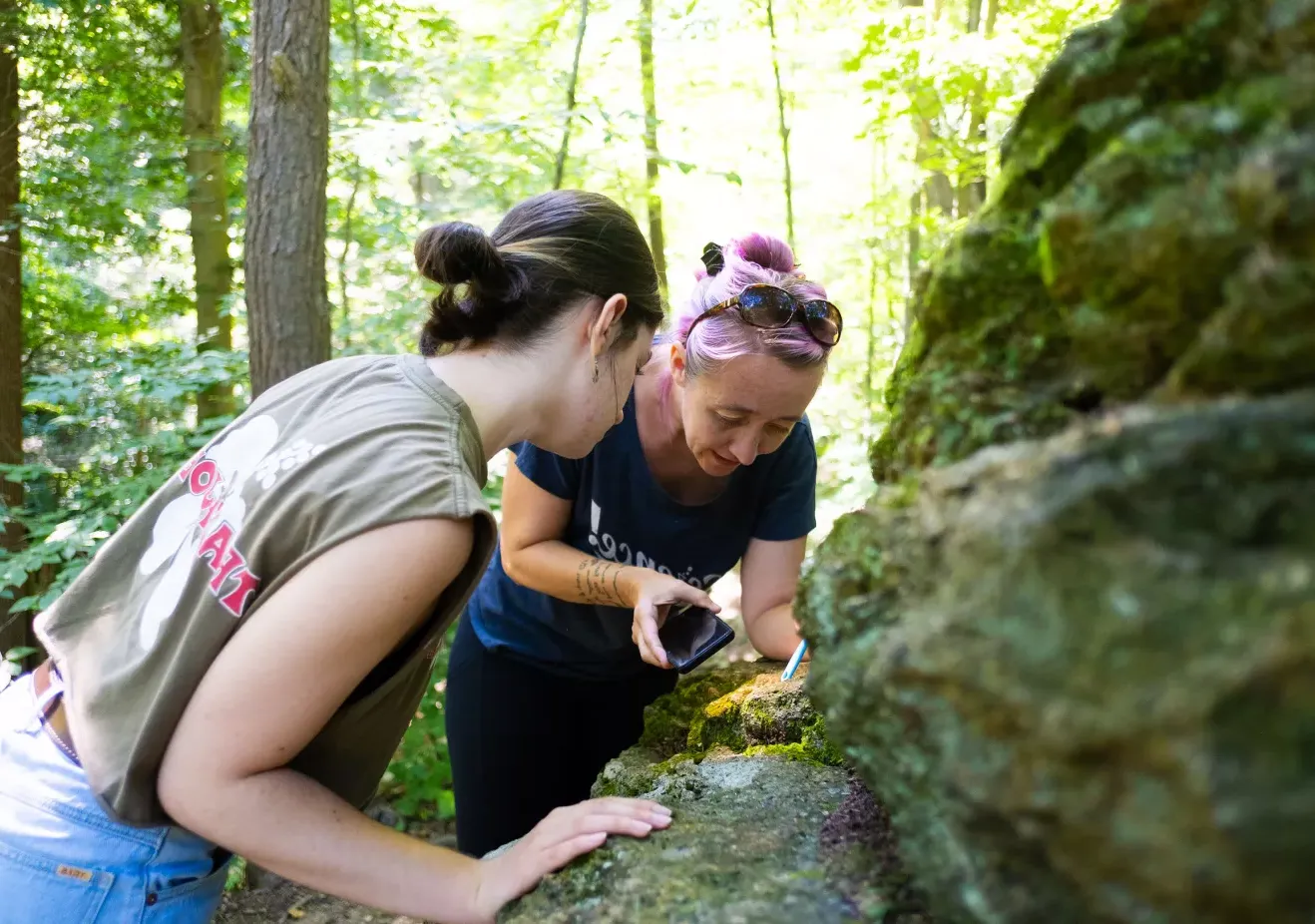 Sustainability - Teaching and Learning - Geology